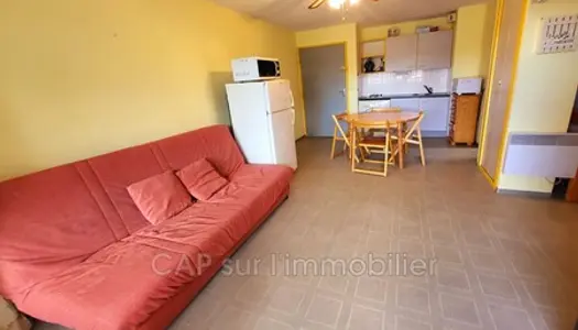 Appartement 33 m² 