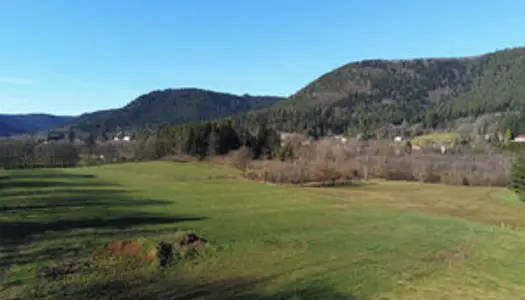 Terrain exceptionnel sur les hauteurs de Saint-Dié-des-Vosge 