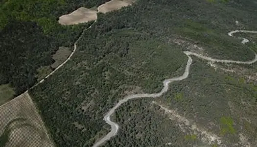 Parcelle forestière dans le Drôme