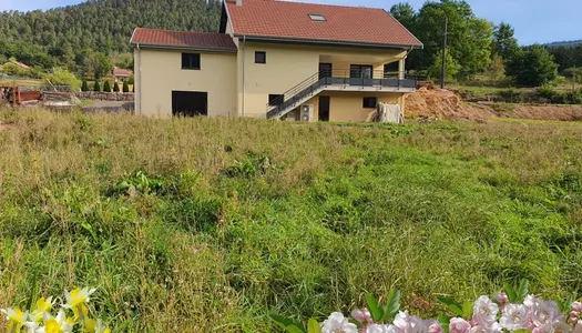 Dpt Vosges (88), à vendre proche SAINT-DIE - VILLA P6 de 2020 avec TERRASSE / terrain 6000 m² 