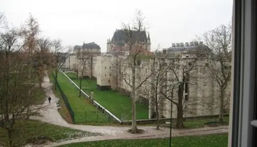 Vends 2 pièces de charme 60m² Vincennes, vue exceptionnelle sur château et bois