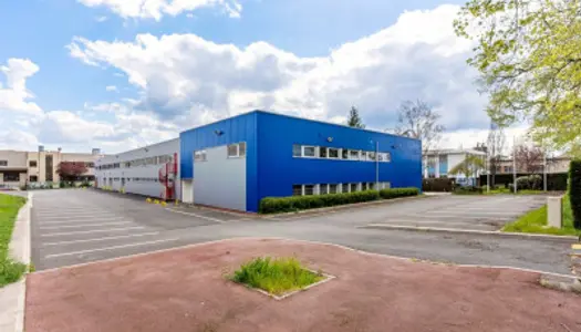 Local commercial 2361 m² 