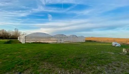 Terrain agricole - serres - hangar 