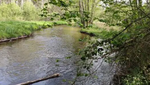 TERRAIN DE LOISIRS sans voisin au bord de la rivière a 15 minutes d'EPINAL non constructible zone 