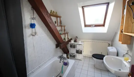 Appartement de 55m2 à louer sur Saverne 