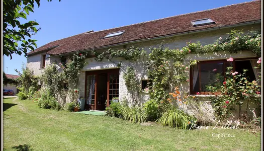 Dpt  (45) à vendre, maison 9p, La neuville sur Essonne, 178m² env., caves, grange, dépendances, 4 