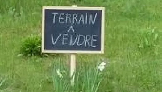 Terrain Vente Montfort-le-Gesnois  612m² 38000€