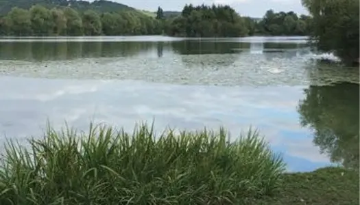 Bel étang en vallée d'Eure