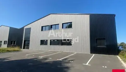 PACE - LOCAL D'ACTIVITE A VENDRE - 650 M²