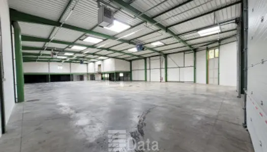 Local commercial 1046 m² 