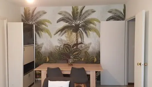 Une chambre bientôt disponible dans grand appartement en colocation à Angoulême