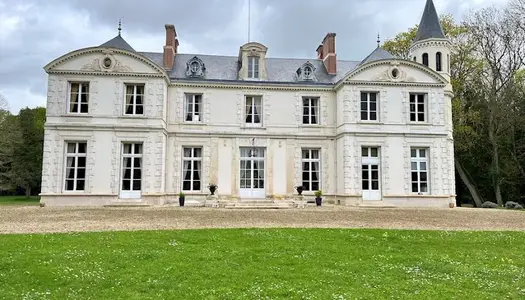 Château 365 m² 