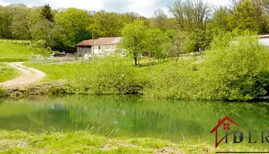 Vosges Ferme Isolee Avec Vue Panoramique 130 m2 Habitable 5 pièces 