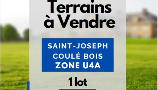 Dpt Martinique (972), à vendre SAINT JOSEPH terrain 