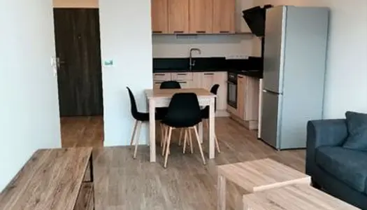 Appartement T2 meublé avec garage, terrasse et jardin 