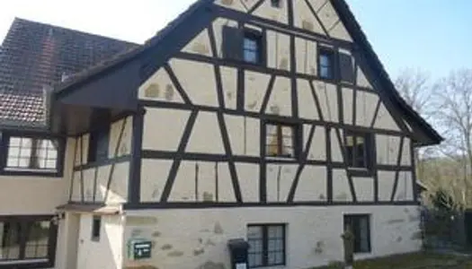 Réf: 9839*** Sect. Leymen, à 3 - 5 min Centre, Tram et Biel-Benken Schweiz: Maison/vieux moulin en