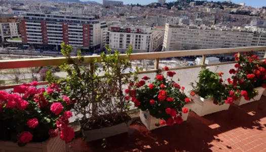 Appartement 3 pièces 116 m² 