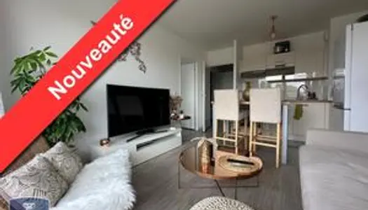 Appartement 2 pièces 39 m² 