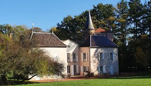 Château 18 pièces 700 m²