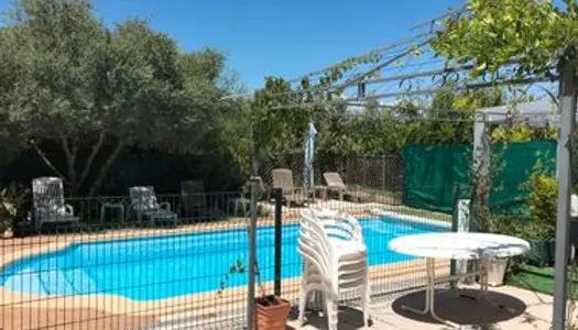 Maison a vendre avec piscine tour de mare 