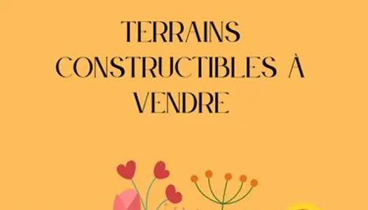 A vendre - Terrains constructibles - Oursbelille 