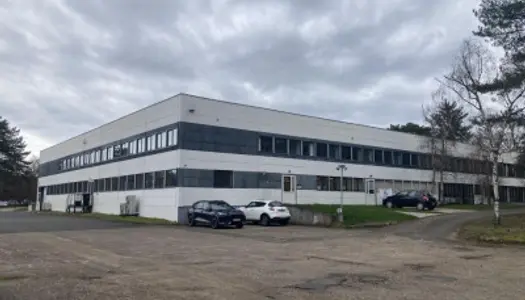 Local commercial 1115 m²