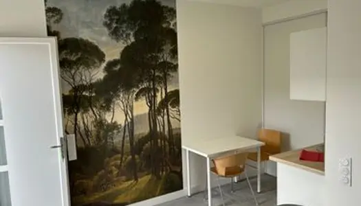 Studio meuble neuf 21m² tout compris edf/eau/internet/clim campus universitaire 440/mois