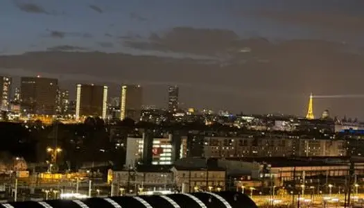 T1 rénové vue panoramique Paris 12e 
