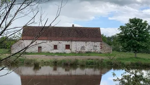 Maison 1 pièce 45 m² 