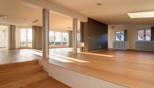 Luxueux penthouse de 360m² avec terrasse & garage