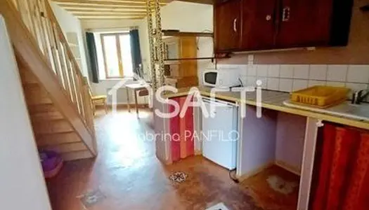 Bel appartement en triplex 