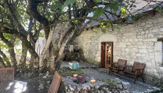 Sympathique maison typique de la Dordogne, une chambre, peti 