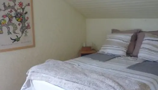 Chambre à louer chez l'habitant (colocation) 