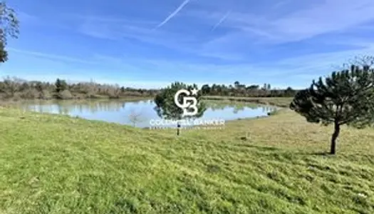 À 50 mn de Bordeaux, Maison de maitre d'exception, parc de 7 hectares et étang d'1,2 hectare.