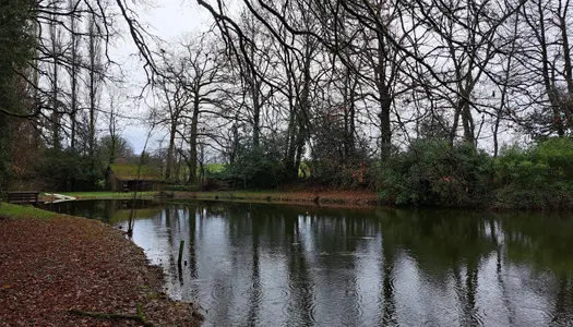 terrain de loisir avec étang