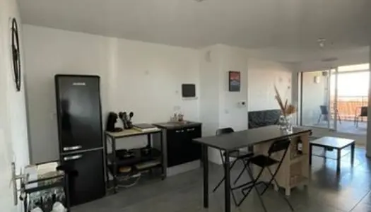 Appartement T2 à louer 2 semaines Août 