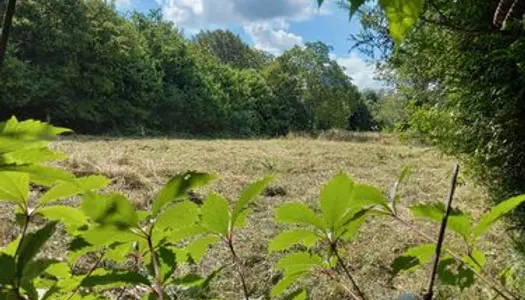 Terrain de Loisir sur Lons le Saunier 