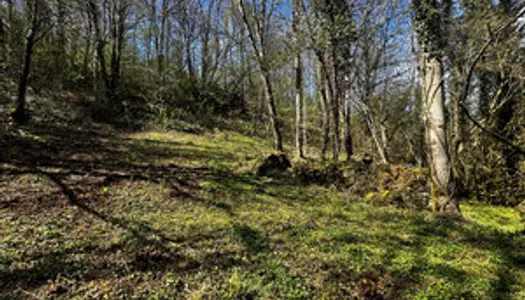 Ruine située dans l'ancien hameau de la Frête sur les hauteu 