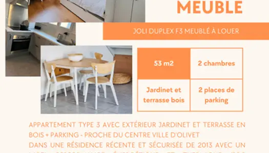 Location joli duplex meublé Olivet à 150m du Loiret 