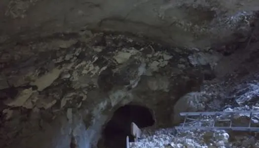 Cave troglodyte 