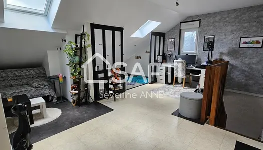 Appartement en duplex 3 chambres, 2 salles d'eau 