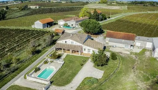 Domaine viticole et ses 3 maisons gîtes avec vue à