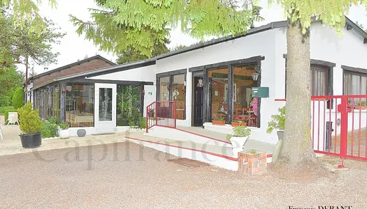 Maison Vente Séchault 15 pièces 551 m²