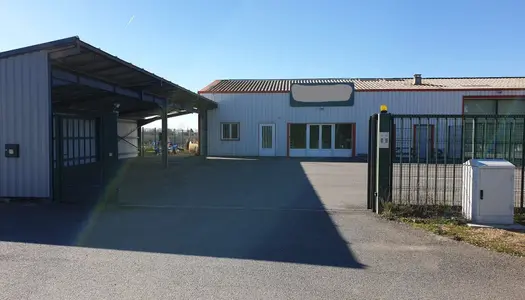 Vente Local commercial 325 m² à Lagrave 264 000 €