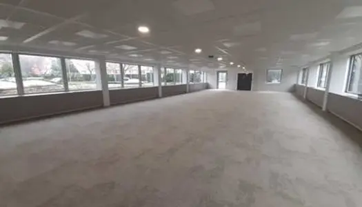 Bureaux - A LOUER - 5 600 m² divisibles à partir de 350 m²