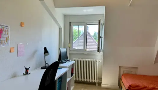 Appartement 1 pièce 19 m² 