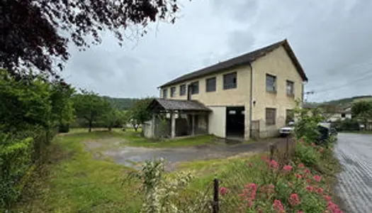 Grand hangar et terrain autour 