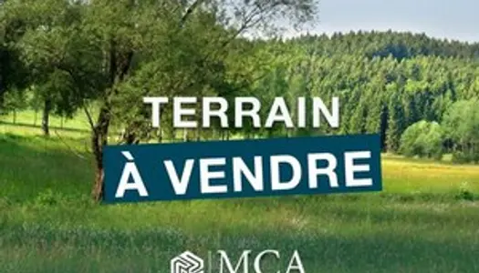 Terrain 1000 m² 