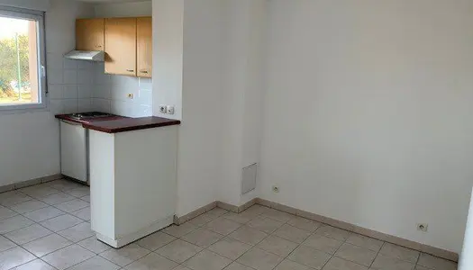 Vente Appartement 27 m² à Fenouillet 96 000 €