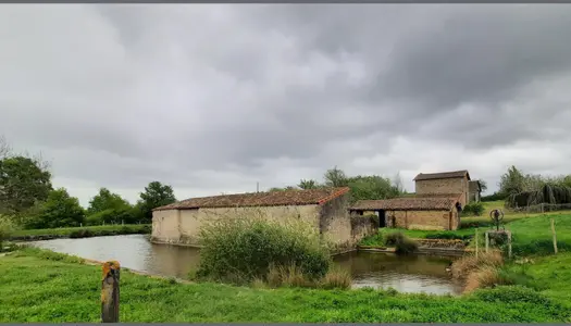 Grange à rénové avec 2 dépendances et un plan d'eau